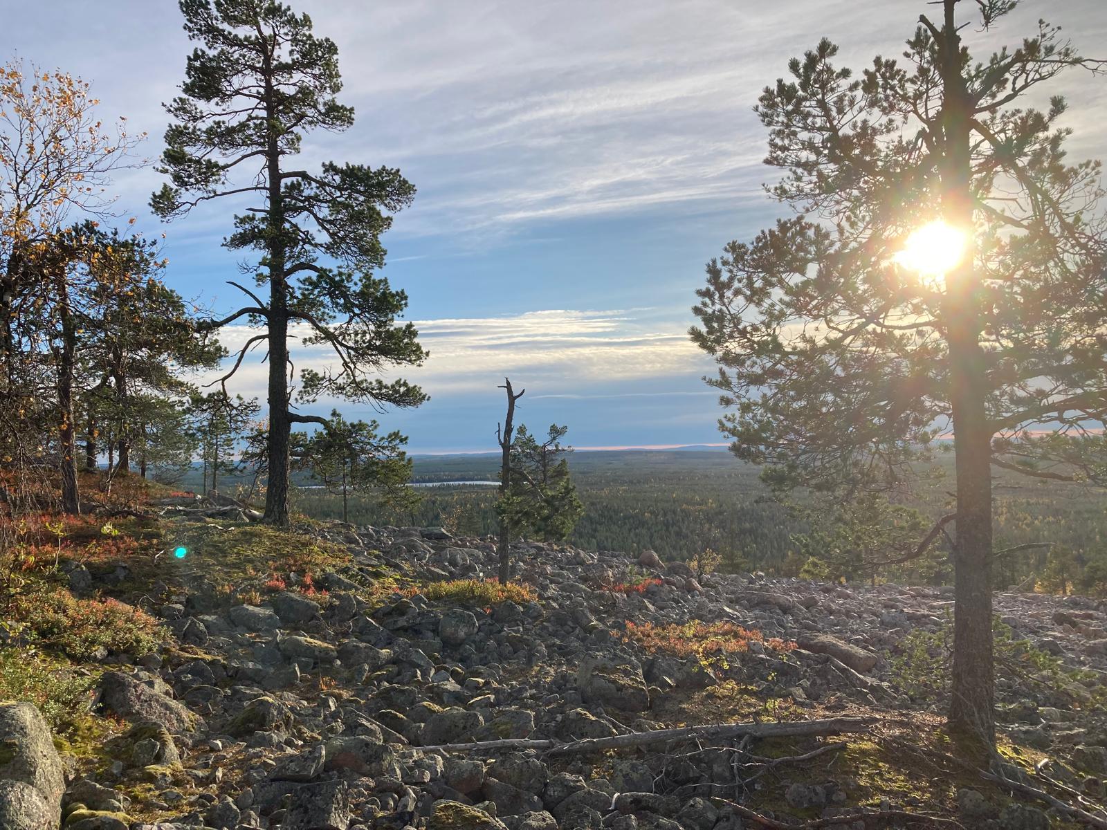 Mielipaikassa löydät luontoyhteyden ja lumoudut luonnosta