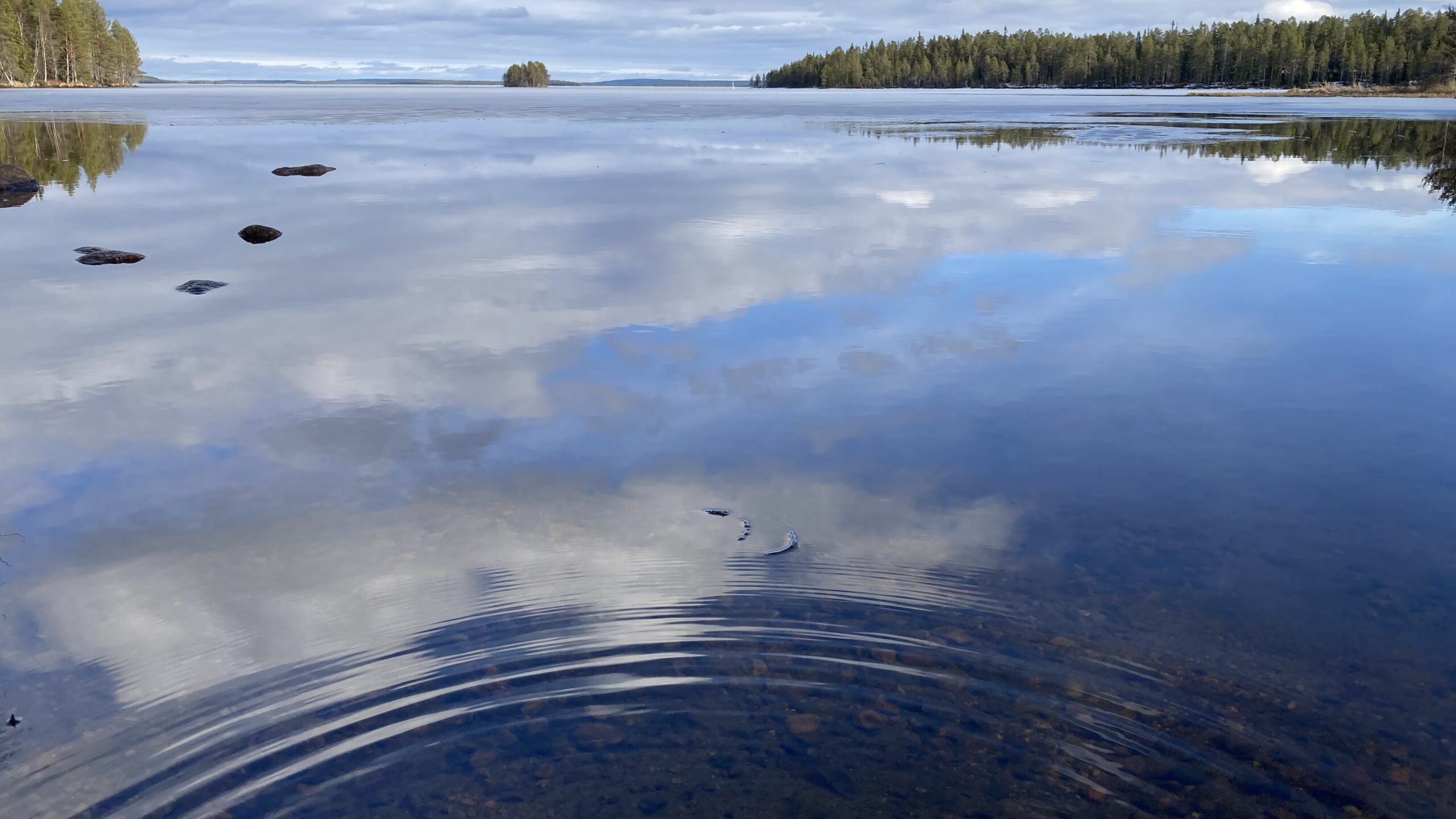 Luontosuhde on laaja elämänmittainen suhde luonnon kanssa