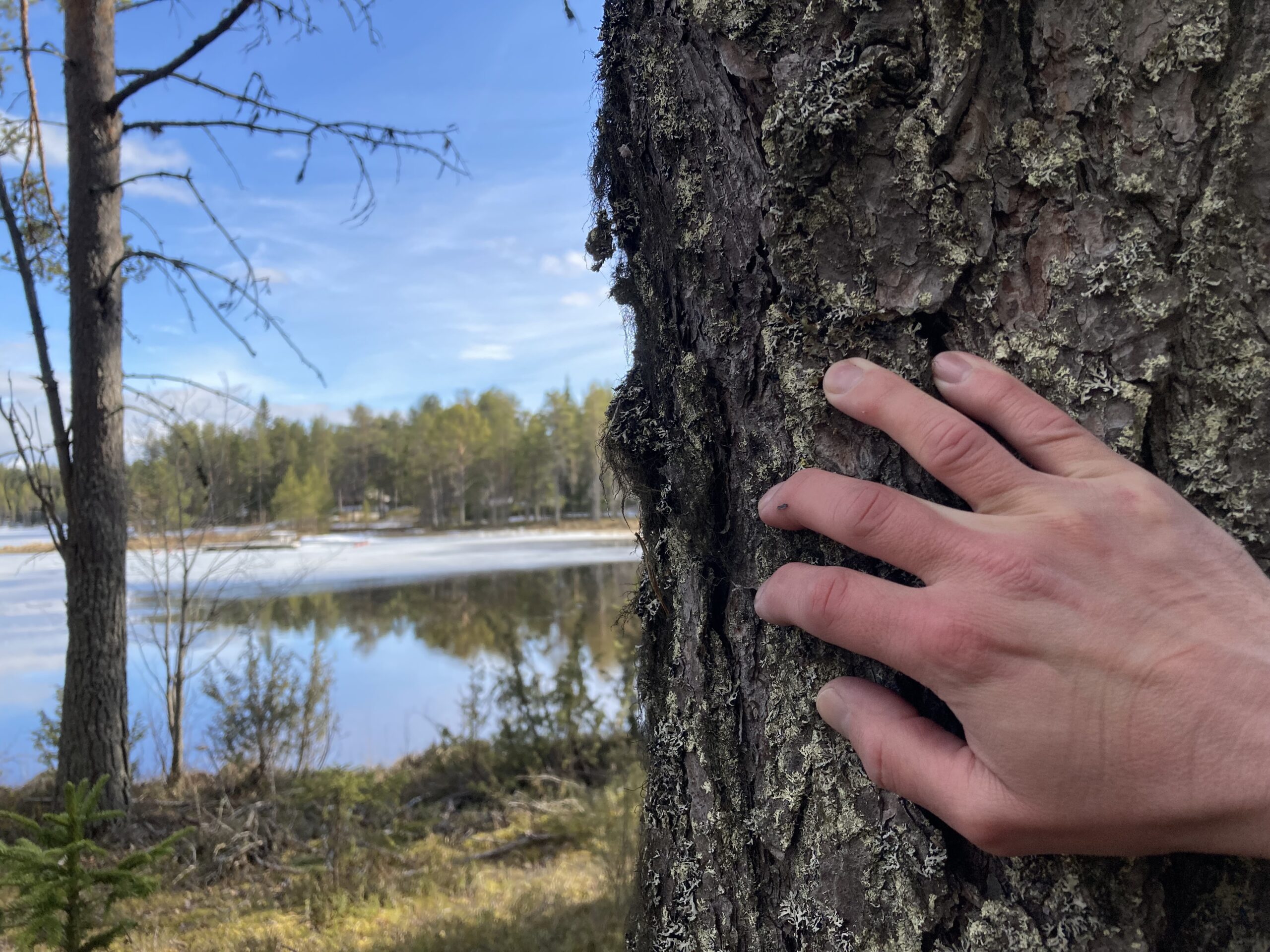 Luontoyhteyden vahvistaminen arjessa palvelee omaa hyvinvointia